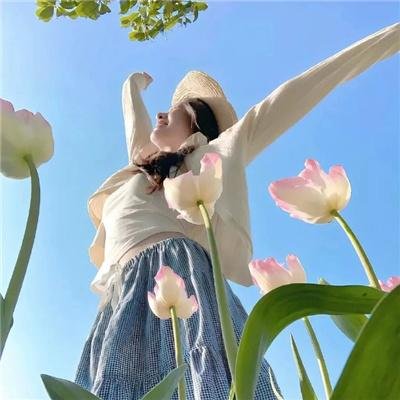 达芙妮2017